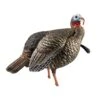 Avian-X Turkey Decoy HDR Jake Quarter-Strut AVX8105 1 Avian-X Turkey Decoy HDR Jake Quarter-Strut AVX8105 -Sport Hunting Shop AvianX 00103 Avian X Turkey Decoy HDR Jake Strut AVX8105