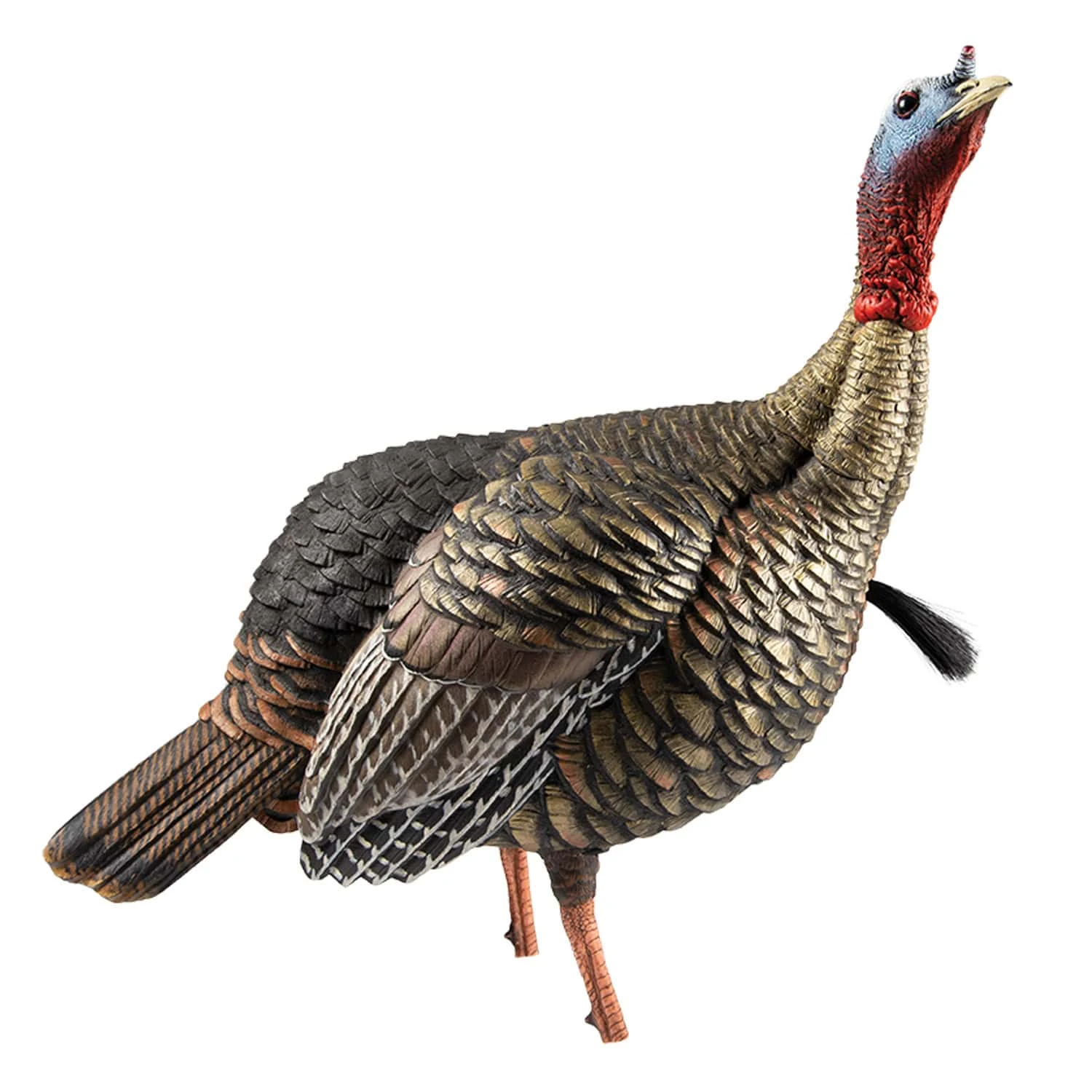Avian-X Turkey Decoy HDR Jake Quarter-Strut AVX8105 4 Avian-X Turkey Decoy HDR Jake Quarter-Strut AVX8105 - Image 2