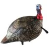 Avian-X Turkey Decoy LCD Jake Quarter Strut AVX8003 1 Avian-X Turkey Decoy LCD Jake Quarter Strut AVX8003 -Sport Hunting Shop AvianX 08003 Avian X Turkey Decoy LCD Jake Quarter Strut AVX8003