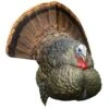 Avian-X Turkey Decoy LCD Strutter Tom AVX8004 1 Avian-X Turkey Decoy LCD Strutter Tom AVX8004 -Sport Hunting Shop AvianX 08004 Avian X Turkey Decoy LCD Strutter Tom AVX8004