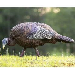 Avian-X Turkey Decoy LCD Feeder Hen AVX8007 7 Avian-X Turkey Decoy LCD Feeder Hen AVX8007 -Sport Hunting Shop AvianX 08007 Avian X Turkey Decoy LCD Feeder Hen AVX8007 Pic