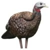 Avian-X Turkey Decoy LCD Breeder Hen AVX8008 -Sport Hunting Shop AvianX 08008 Avian X Turkey Decoy LCD Breeder Hen AVX8008