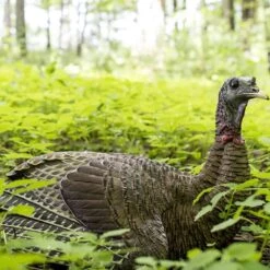 Avian-X Turkey Decoy LCD Laydown Hen AVX8011 7 Avian-X Turkey Decoy LCD Laydown Hen AVX8011 -Sport Hunting Shop AvianX 08011 Avian X Turkey Decoy LCD Laydown Hen AVX8011 Pic