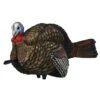 Avian-X Turkey Decoy LCD Half Strut Jake AVX8012 2 Avian-X Turkey Decoy LCD Half Strut Jake AVX8012 -Sport Hunting Shop AvianX 080124 Avian X Turkey Decoy Half Strut Jake AVX8012