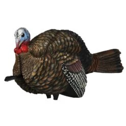 Avian-X Turkey Decoy LCD Half Strut Jake AVX8012