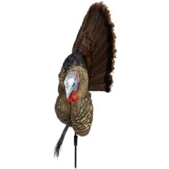 Avian-X Turkey Decoy Trophy Tom 2D AVX8021 8 Avian-X Turkey Decoy Trophy Tom 2D AVX8021 -Sport Hunting Shop AvianX 08021 Avian X Turkey Decoy Trophy Tom AVX8021 Left Side