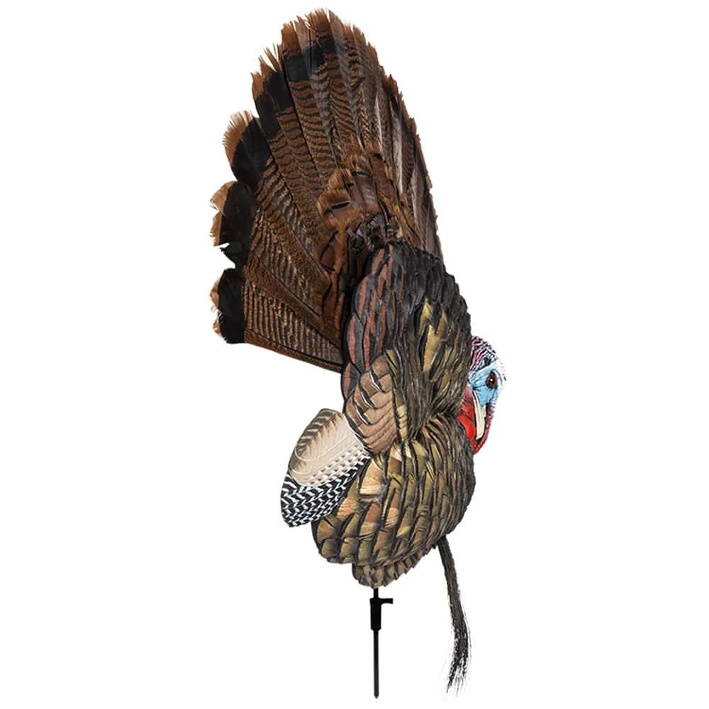 Avian-X Turkey Decoy Trophy Tom 2D AVX8021 4 Avian-X Turkey Decoy Trophy Tom 2D AVX8021 - Image 2
