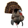 Avian-X Turkey Decoy HDR Strutter Tom AVX8108 2 Avian-X Turkey Decoy HDR Strutter Tom AVX8108 -Sport Hunting Shop AvianX 08108 Avian X Turkey Decoy HDR Strutter AVX8108