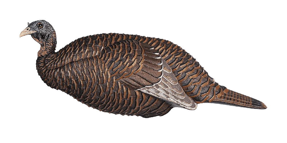 Flextone Thunder Chick Breeder Turkey Decoy FLXDY331 3 Flextone Thunder Chick Breeder Turkey Decoy FLXDY331