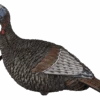 Flextone Thunder Jake Turkey Decoy FLXDY317 2 Flextone Thunder Jake Turkey Decoy FLXDY317 -Sport Hunting Shop Flextone 00982 Flextone Thunder Jake Turkey Decoy FLXDY317