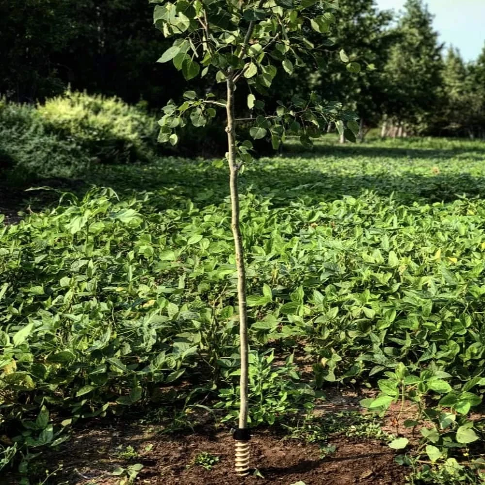 Hodag Licking Stick System FlexPlate W/ All Season Scent 5 Hodag Licking Stick System FlexPlate W/ All Season Scent - Image 3