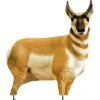 Montana Decoy Company Antelope Buck 38″x30″ -Sport Hunting Shop Montana 00003 Antelope Buck Decoy 1