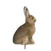 Montana Decoy Company Miss Hoptober Rabbit Predator Decoy 0036 2 Montana Decoy Company Miss Hoptober Rabbit Predator Decoy 0036 -Sport Hunting Shop Montana 00036 Montana Decoy Miss Hoptober Rabbit 0036