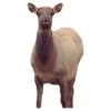 Montana Decoy Company Eichler Cow Elk -Sport Hunting Shop Montana 00041 Eichler Elk 1