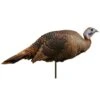 Montana Decoy Company Turkey Spring Fling Hen 2d Decoy 2 Montana Decoy Company Turkey Spring Fling Hen 2d Decoy -Sport Hunting Shop Montana 00042 Spring Fling Hen 1