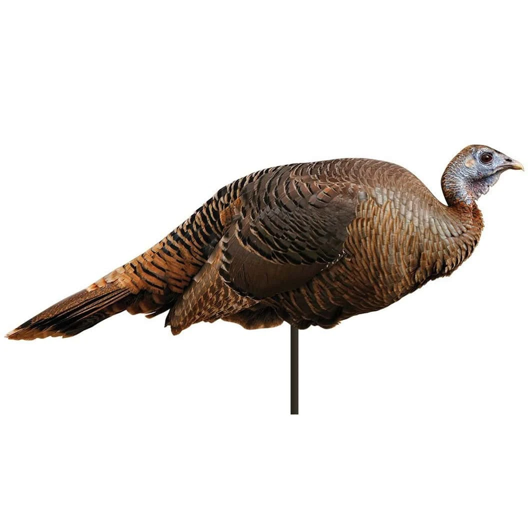 Montana Decoy Company Turkey Spring Fling Hen 2d Decoy 3 Montana Decoy Company Turkey Spring Fling Hen 2d Decoy