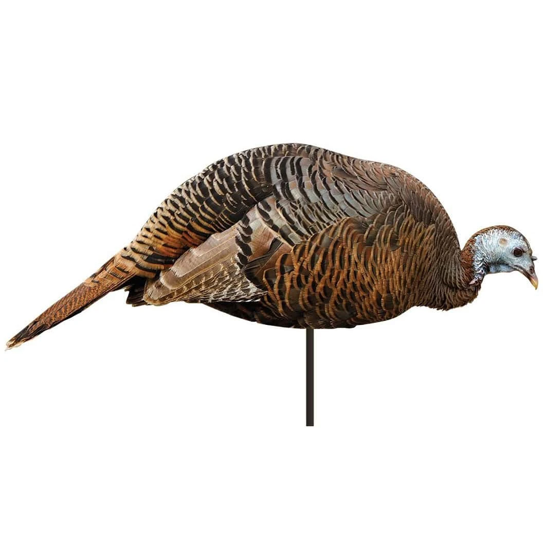 Montana Decoy Company Turkey Dinner Belle Hen 2d Decoy 3 Montana Decoy Company Turkey Dinner Belle Hen 2d Decoy