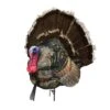 Montana Decoy Company Turkey Wiley Tom 3D Decoy 19″x13″x5″ 2 Montana Decoy Company Turkey Wiley Tom 3D Decoy 19″x13″x5″ -Sport Hunting Shop Montana 00044 Montana Decoy Wiley Tom 3D Turkey Decoy 0044