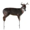 Montana Decoy Company Deer The Freshman Buck 37″x48″ 2 Montana Decoy Company Deer The Freshman Buck 37″x48″ -Sport Hunting Shop Montana 00046 The Freshman Buck 1