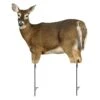 Montana Decoy Company Trixie Whitetail Doe Decoy 2 Montana Decoy Company Trixie Whitetail Doe Decoy -Sport Hunting Shop Montana 00053 Montana Decoy Trixie Whitetail Doe Decoy 0053
