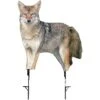 Montana Decoy Company Song Dog Coyote Decoy 0079 -Sport Hunting Shop Montana 00079 Montana Decoy Song Dog Coyote 0079