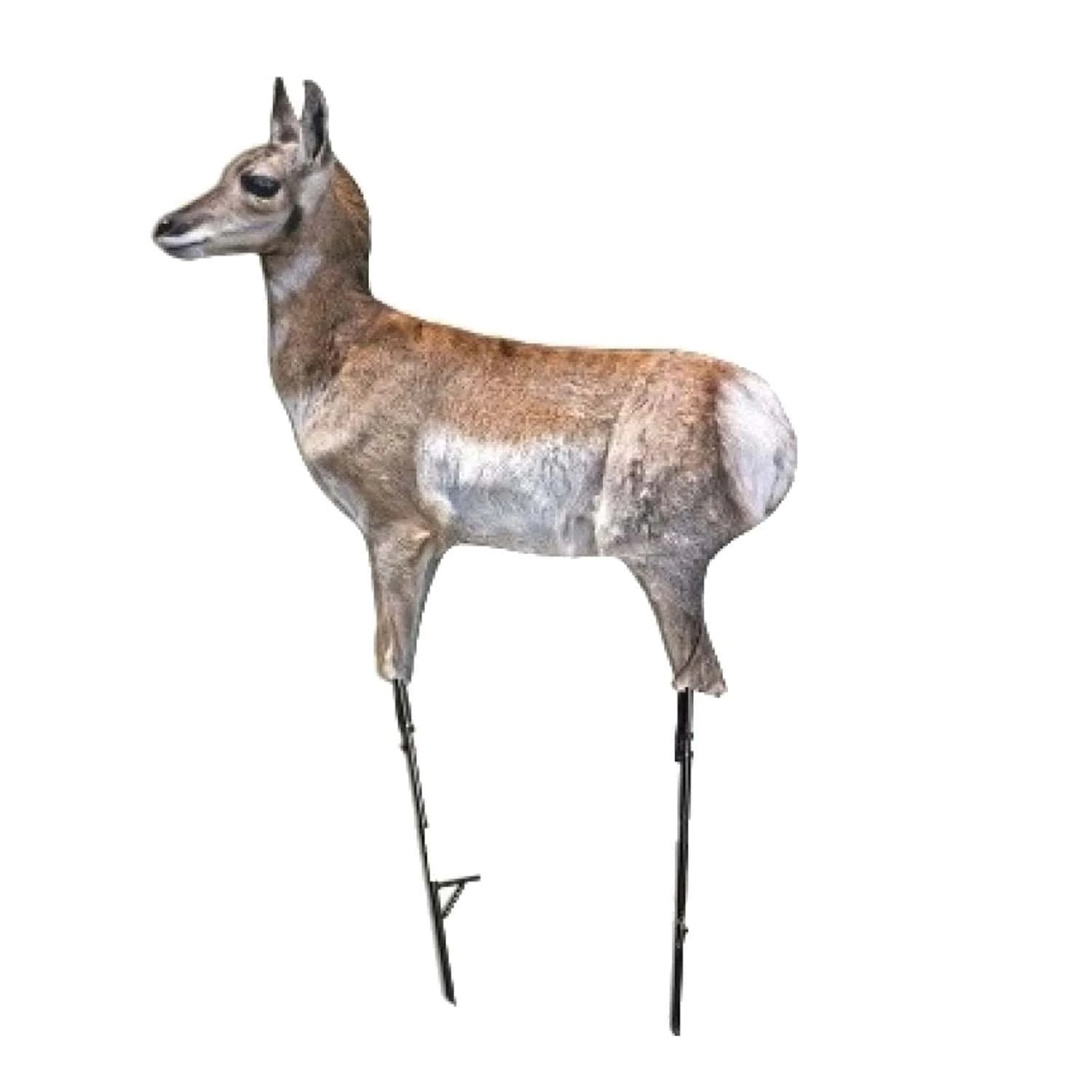 Montana Decoy Company Antelope Fawn Predator Decoy 0080 3 Montana Decoy Company Antelope Fawn Predator Decoy 0080