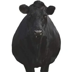 Montana Decoy Company Bessie Moo Cow 0081