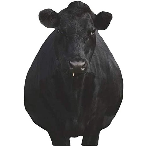 Montana Decoy Company Bessie Moo Cow 0081 3 Montana Decoy Company Bessie Moo Cow 0081