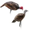 Montana Decoy Company Turkey Purrfect Pair XD Combo Jake & Hen 0086 1 Montana Decoy Company Turkey Purrfect Pair XD Combo Jake & Hen 0086 -Sport Hunting Shop Montana 00086 Montana Decoy Purrfect Pair XD Turkey Decoys 0086