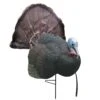 Primos Decoys Turkey B-Mobile Gobbler Tom Decoy 69041 2 Primos Decoys Turkey B-Mobile Gobbler Tom Decoy 69041 -Sport Hunting Shop Primos 69041 B Mobile Gobbler