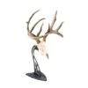 Skull Hooker Table Hooker Antler Mount Black TH-Assy-BLK 1 Skull Hooker Table Hooker Antler Mount Black TH-Assy-BLK -Sport Hunting Shop Skull 00206 Table Hooker Black
