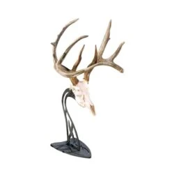 Skull Hooker Table Hooker Antler Mount Black TH-Assy-BLK