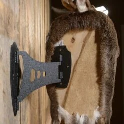 Skull Hooker Single Shoulder Mount Black SKH-SSM-BLK -Sport Hunting Shop Skull 03034 Skull Hooker Single Sholder Mount SKH SSM BLK Back Mount