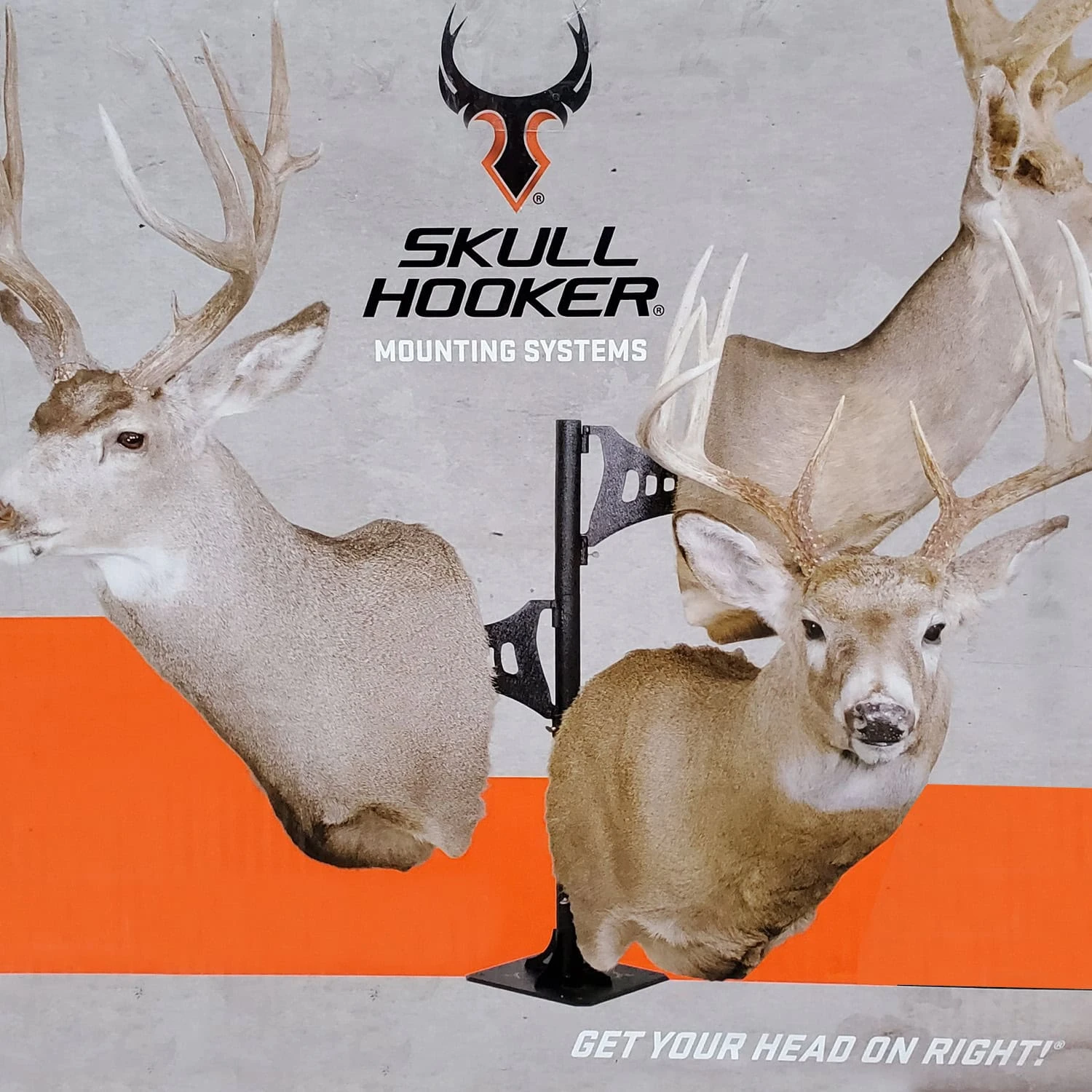 Skull Hooker Short Trophy Tree Black SKH-STTSM-BLK 4 Skull Hooker Short Trophy Tree Black SKH-STTSM-BLK - Image 2