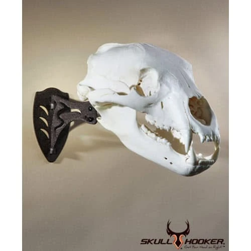 Skull Hooker Little Hooker Antler Mount Brown LH-Assy-BRN 4 Skull Hooker Little Hooker Antler Mount Brown LH-Assy-BRN - Image 2